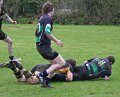Monaghan 1st XV V. Letterkenny. 2nd April, 2011. (42)